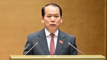 Đề xuất Chính phủ được điều chỉnh quy định trong luật nếu có vướng mắc