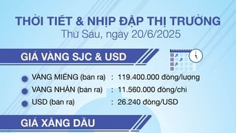 Thời tiết & nhịp đập thị trường 20/6