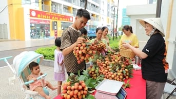 Thành phố Hà Nội hỗ trợ điểm bán vải thiều Bắc Giang tại các khu đô thị, trung tâm thương mại