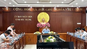 Lãnh đạo UBND tỉnh nghe báo cáo tình hình thi công dự án cấp điện cho huyện Côn Đảo