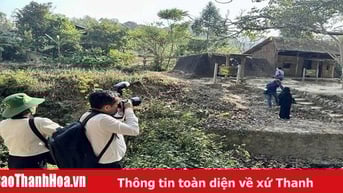 Khẳng định vai trò là vũ khí sắc bén