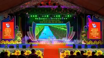 Cơn gió thổi mát hồn người
