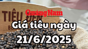 Giá tiêu hôm nay 21/6/2025 Đắk Lắk không còn giữ mức giá cao nhất