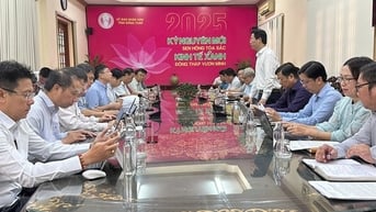 EVNNPT phối hợp với tỉnh Đồng Tháp triển khai dự án truyền tải điện cấp bách
