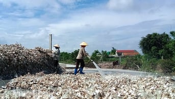 Kim Trung chú trọng phát triển kinh tế, nâng cao thu nhập cho người dân