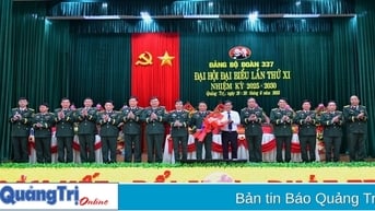 Đại hội đại biểu Đảng bộ Đoàn Kinh tế - Quốc phòng 337 lần thứ XI, nhiệm kỳ 2025-2030