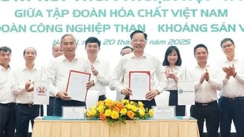 Hai tập đoàn hóa chất và than, khoáng sản bắt tay hợp tác mua bán sản phẩm