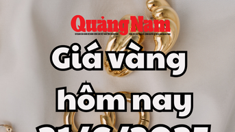 Giá vàng hôm nay 21/6/2025: Giá vàng trong nước ngập trong sắc xanh