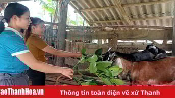 Đồng hành cùng phụ nữ vùng cao phát triển kinh tế