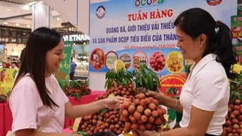 Quảng bá vải thiều và sản phẩm của Hải Dương tại trung tâm thương mại Aeon Mall Hải Phòng