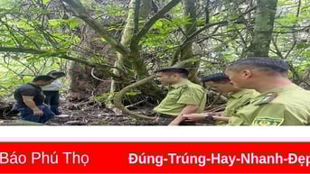 Tái thả động vật hoang dã quý hiếm về tự nhiên