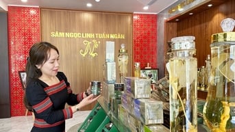 Gỡ nút thắt kiểm nghiệm chất lượng: Mở lối cho dược liệu Quảng Nam vươn xa