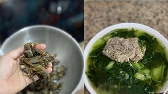 Đặc sản chui ra từ đất, đêm soi đèn 1 tiếng bắt được vài kg, nấu canh mát rượi