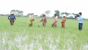 Tâm huyết của những người làm báo không chuyên