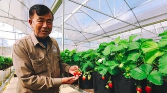 Langfarm - Hành trình từ đặc sản Đà Lạt đến trải nghiệm bản sắc Việt