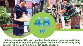6 tháng đầu năm 2025, Bình Phước giải ngân hơn 48 tỷ đồng cho chương trình vùng dân tộc thiểu số