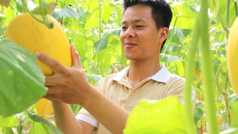 Chàng trai gen Z làm giàu từ nông nghiệp xanh
