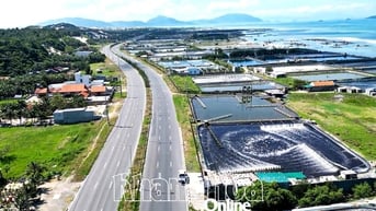 Vạn Ninh: Sức bật từ chương trình nông thôn mới