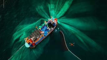 Lưới vây - Nghệ thuật tạo hình trên đại dương 