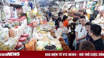 Khi nào hộ kinh doanh phải chuyển thành doanh nghiệp?