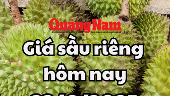 Giá sầu riêng hôm nay 22/6/2025: Đắk Lắk gặp khó khăn ở mùa thu hoạch