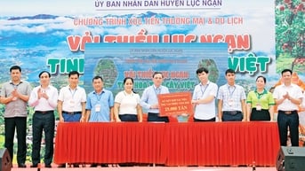 Đa dạng kênh tiêu thụ vải thiều, giám áp lực mùa vụ