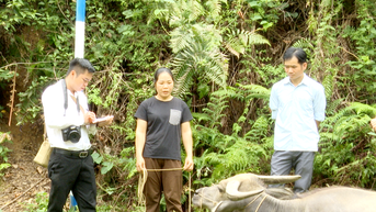 Phóng viên địa bàn: Những người bám và gần cơ sở để phản ánh sinh động hơi thở của cuộc sống