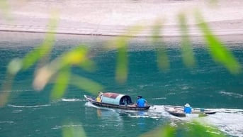 Neo lại quê nhà