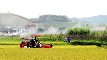 Tăng các khoản vay không tài sản đảm bảo trong lĩnh vực nông nghiệp từ ngày 1/7