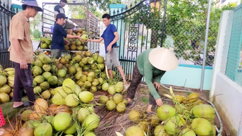 បើកកន្លែងអភិវឌ្ឍន៍ថ្មីសម្រាប់ឧស្សាហកម្មដូង