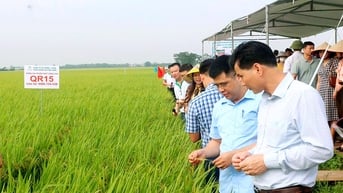 Phát triển giống cây trồng, vật nuôi chất lượng cao
