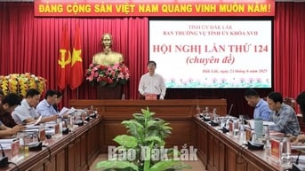 Tổng kim ngạch xuất khẩu 6 tháng ước đạt 1,293 tỷ USD