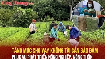 Tăng mức cho vay không tài sản bảo đảm phục vụ phát triển nông nghiệp, nông thôn