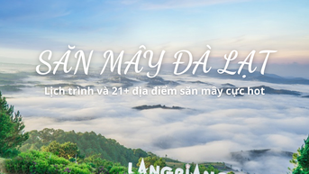 Săn mây Đà Lạt: 21+ địa điểm check-in đẹp nhất 2025