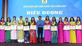 Biểu dương 96 điển hình tiêu biểu trong phong trào thi đua "Giỏi việc nước, đảm việc nhà"