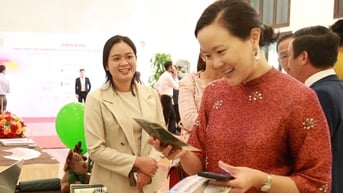 Doanh nghiệp Mỹ tìm cơ hội đầu tư mới tại miền Trung