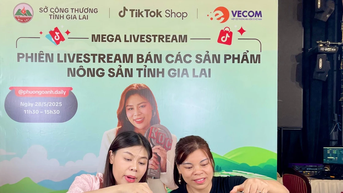 Thương mại điện tử: "Đường cao tốc” cho xúc tiến thương mại thời số hóa