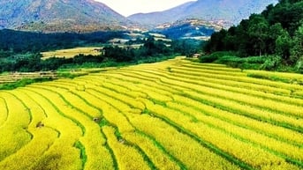 Vẽ mùa