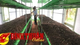 Xây dựng mô hình trồng nấm rơm trong nhà cho các hộ dân