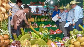 Giữ vững diện tích cây ăn trái và tạo mối liên kết bền vững