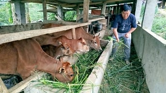 Hành trình “đổi đời” từ mục tiêu đến thực tiễn giảm nghèo - Kỳ 1: Khi người nghèo không còn “trông chờ” mà chủ động “xin thoát nghèo”