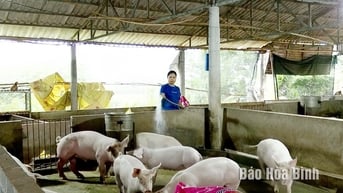 Kiểm soát dịch bệnh trên đàn vật nuôi