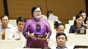 Thảo luận về cơ chế tháo gỡ "điểm nghẽn" của pháp luật