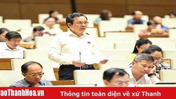 Quốc hội thảo luận về vướng mắc do quy định của pháp luật