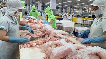 Mỹ miễn thuế xuất khẩu thêm 6 doanh nghiệp cá tra Việt Nam