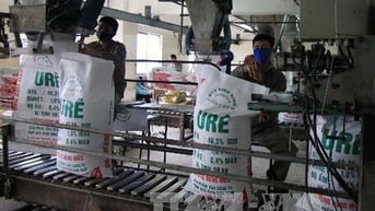 Thị trường phân bón: Giá bán trong nước bám sát đà tăng cao của thế giới