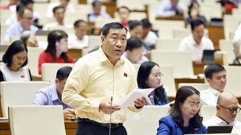 Quốc hội thảo luận về cơ chế xử lý khó khăn, vướng mắc do quy định của pháp luật