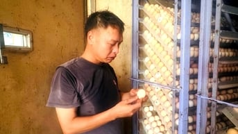 Bỏ chức giám đốc nhà máy, về quê làm trang trại nuôi gà