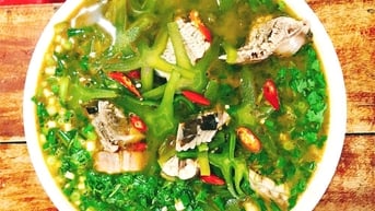 Đến biển Nhật Lệ thưởng thức canh xương rồng cá đuối