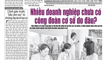 Xem gì trên báo Hải Dương ngày 23/6?